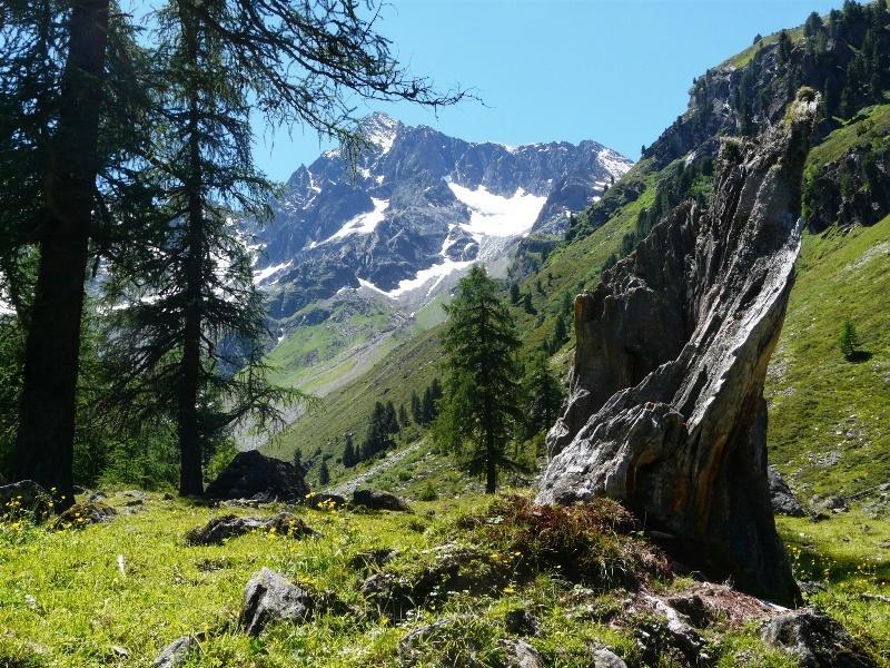Pension Schöpf Arzl im Pitztal Exterior foto